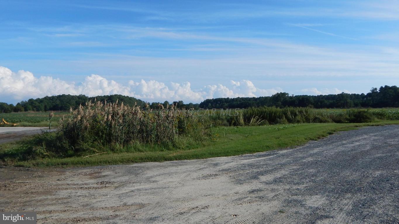3667 Freedomtown Road Crisfield, MD 21817 - Photo 29 of 58 Gallery Image 29