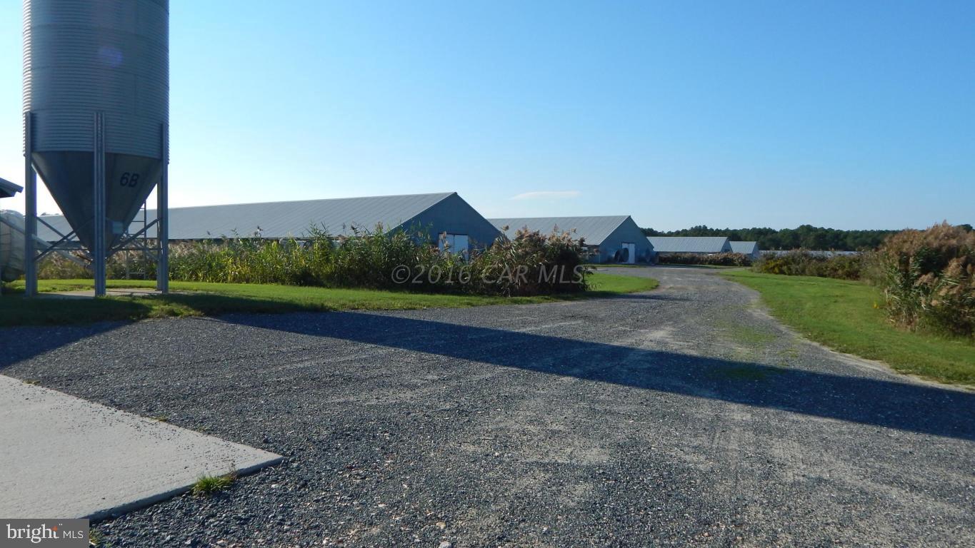 3667 Freedomtown Road Crisfield, MD 21817 - Photo 30 of 58 Gallery Image 30