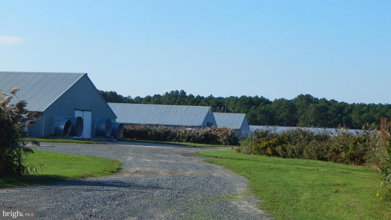 3667 Freedomtown Road Crisfield, MD 21817 - Photo 32 of 58 Gallery Image 32