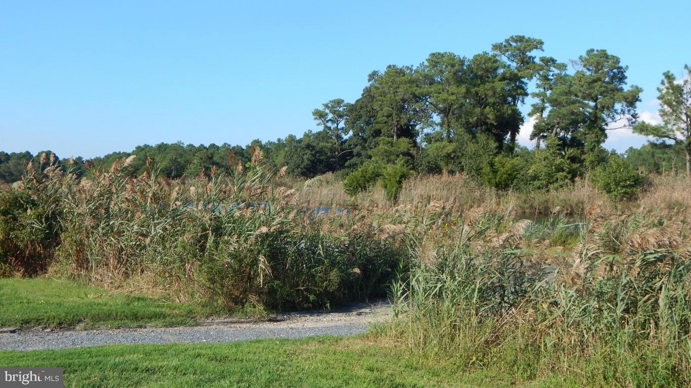 3667 Freedomtown Road Crisfield, MD 21817 - Photo 36 of 58 Gallery Image 36