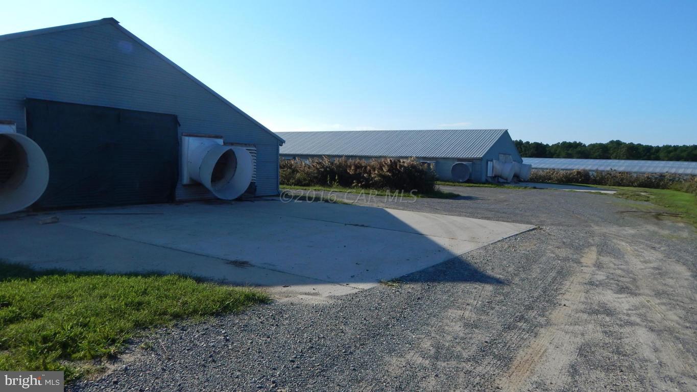 3667 Freedomtown Road Crisfield, MD 21817 - Photo 41 of 58 Gallery Image 41