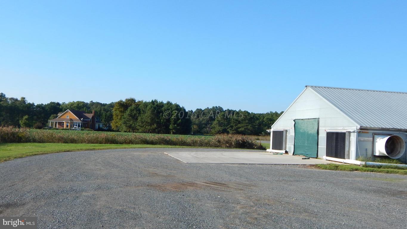 3667 Freedomtown Road Crisfield, MD 21817 - Photo 46 of 58 Gallery Image 46