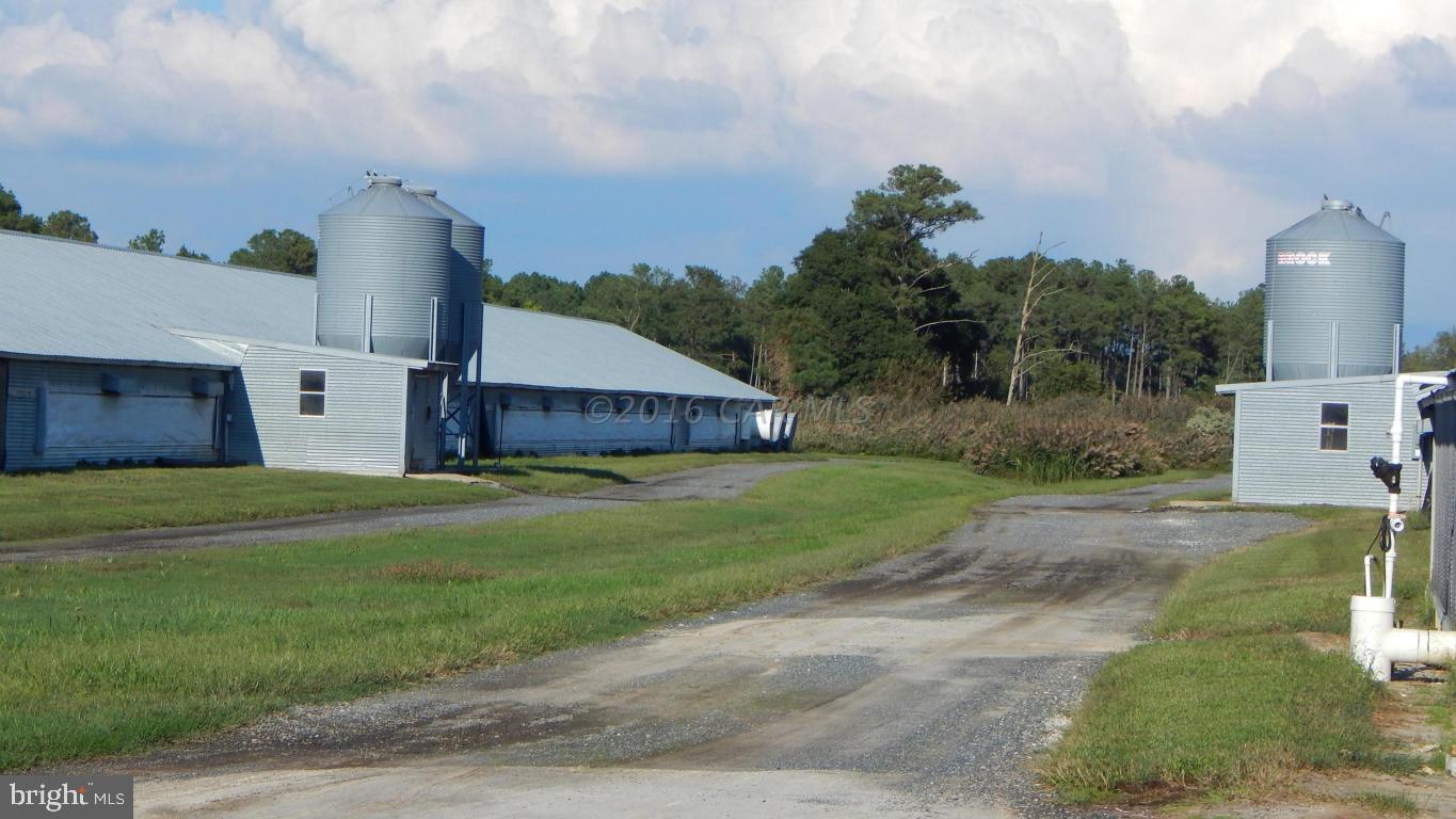 3667 Freedomtown Road Crisfield, MD 21817 - Photo 47 of 58 Gallery Image 47