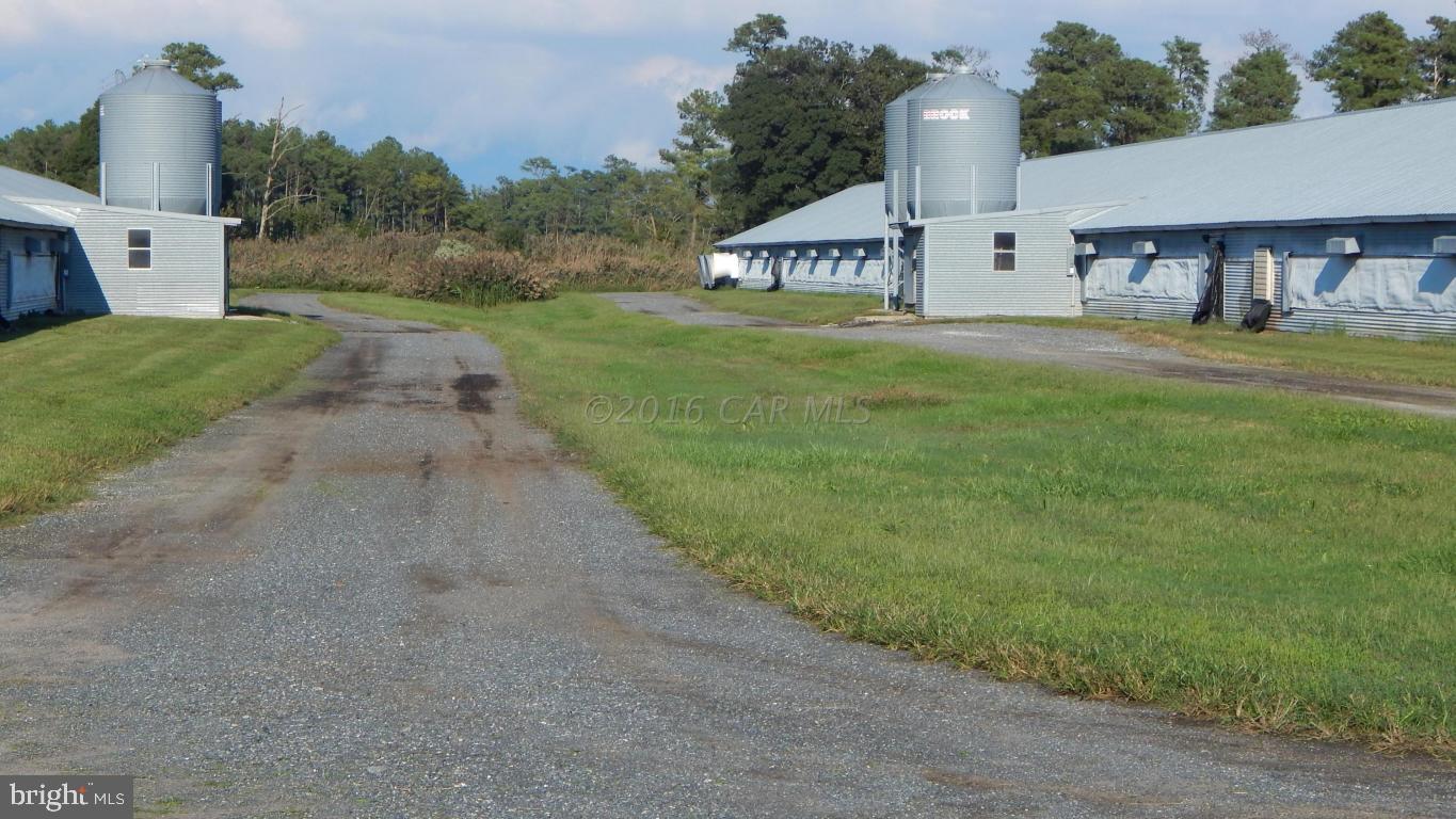 3667 Freedomtown Road Crisfield, MD 21817 - Photo 48 of 58 Gallery Image 48