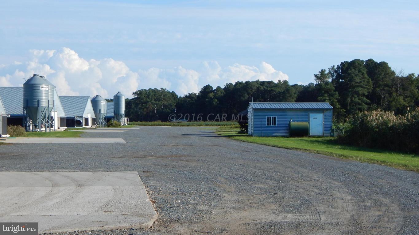 3667 Freedomtown Road Crisfield, MD 21817 - Photo 50 of 58 Gallery Image 50