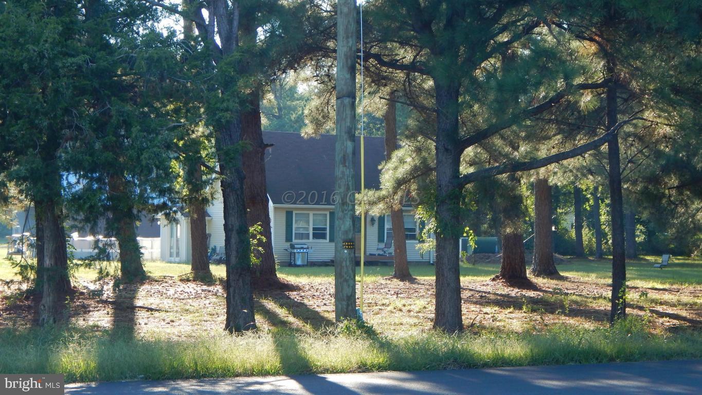 3667 Freedomtown Road Crisfield, MD 21817 - Photo 51 of 58 Gallery Image 51