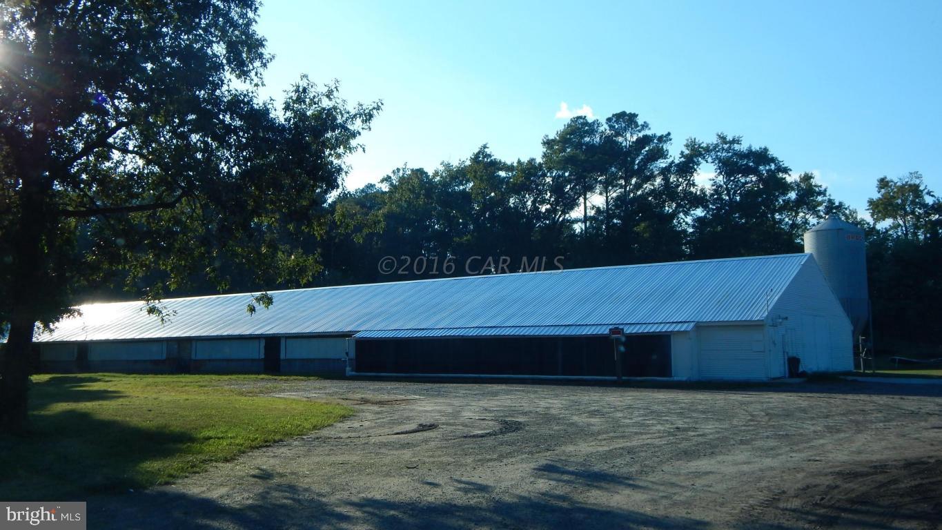 3667 Freedomtown Road Crisfield, MD 21817 - Photo 52 of 58 Gallery Image 52