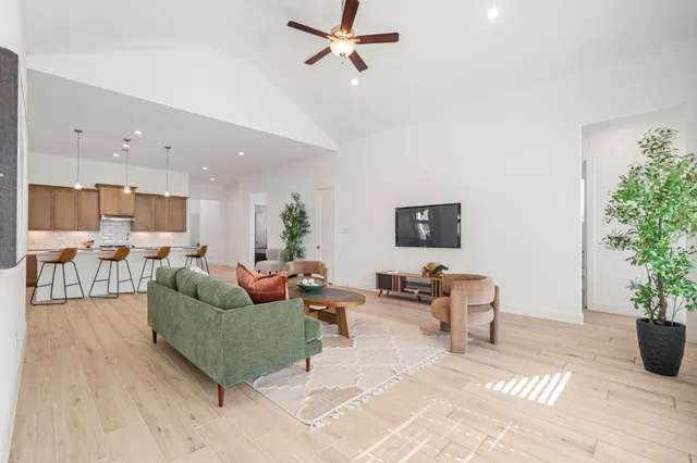 a living room with furniture and a potted plant