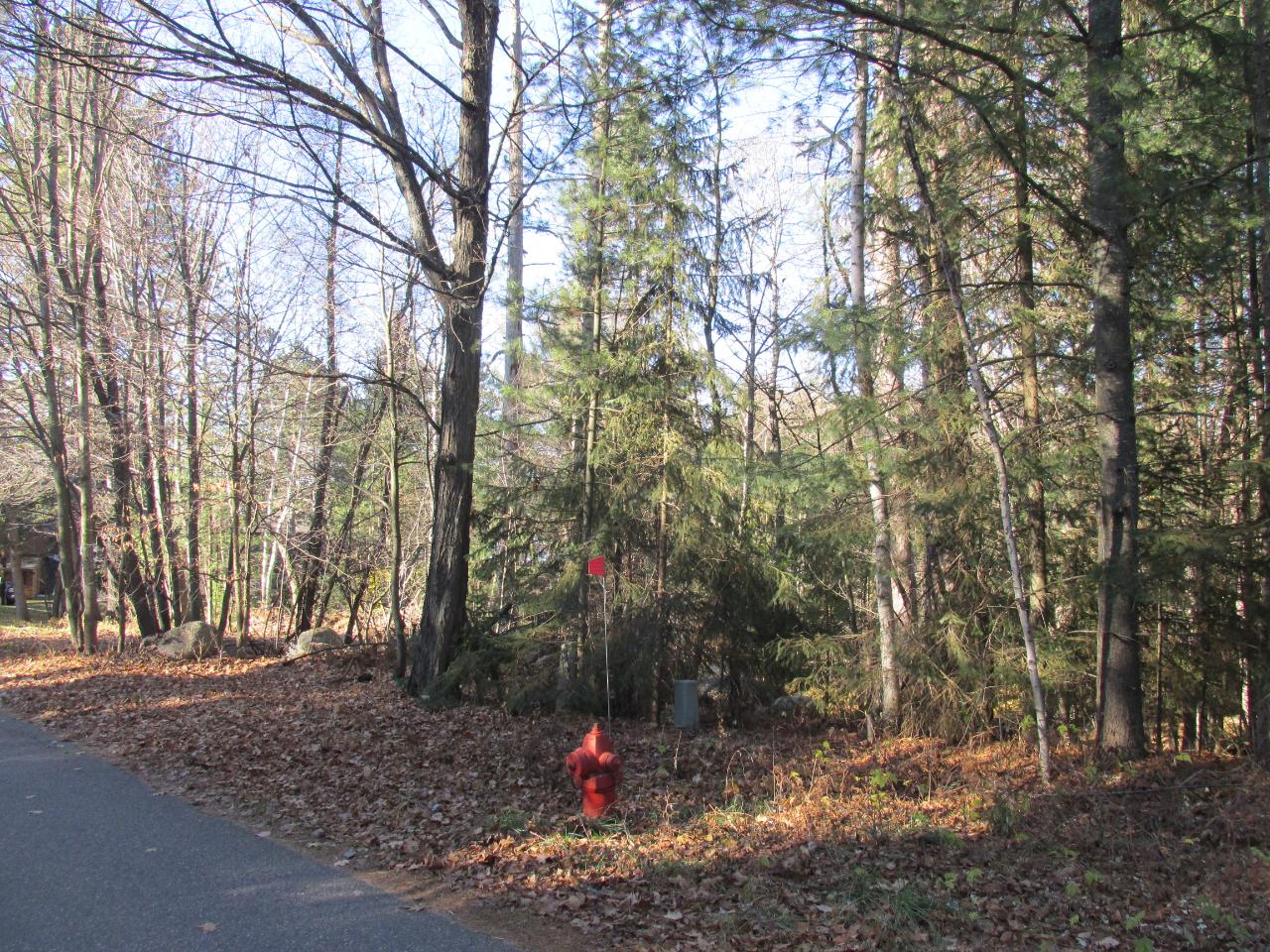 On Wildflower Bay Road Rhinelander, WI 54501 - Photo 2 of 13 Gallery Image 2