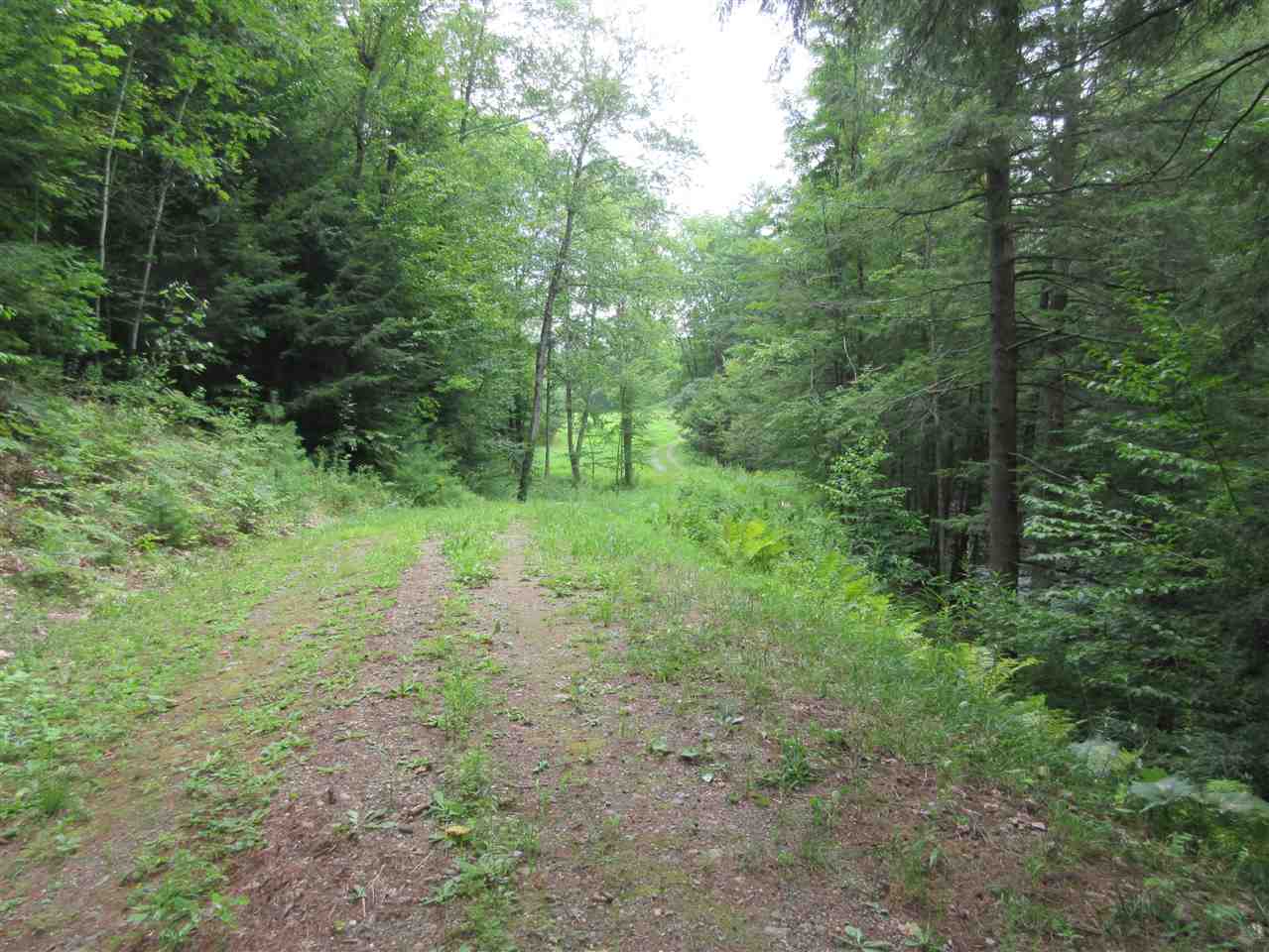 0 Center Of Town Road Plainfield, NH 03781 - Photo 5 of 7 Gallery Image 5