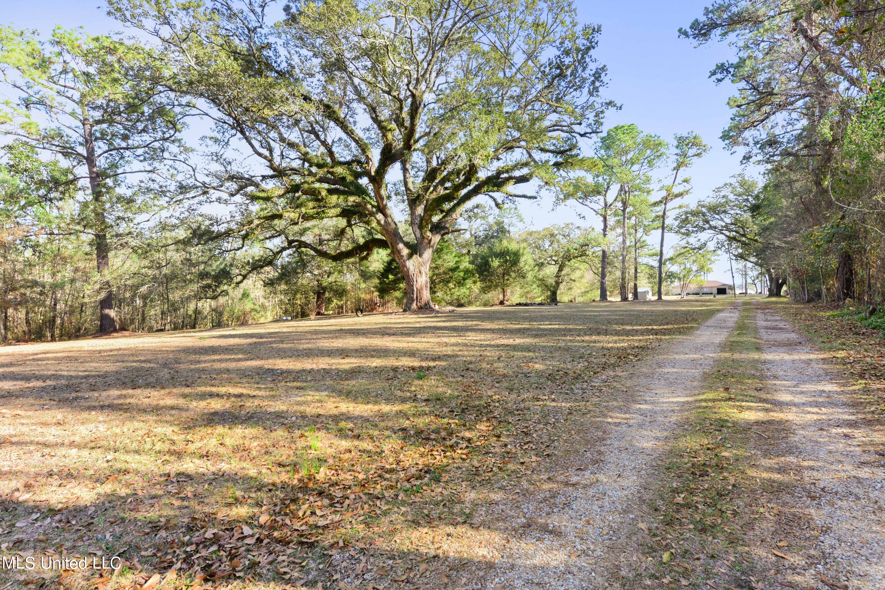 1517 Brodie Road Biloxi, MS 39532 - Photo 1 of 34 1517 Ext South Acreage