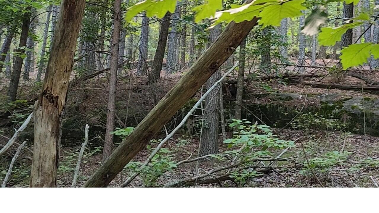 0 High Point Lane Jasper, TN 37347 - Photo 8 of 10 a black and white photo of a house