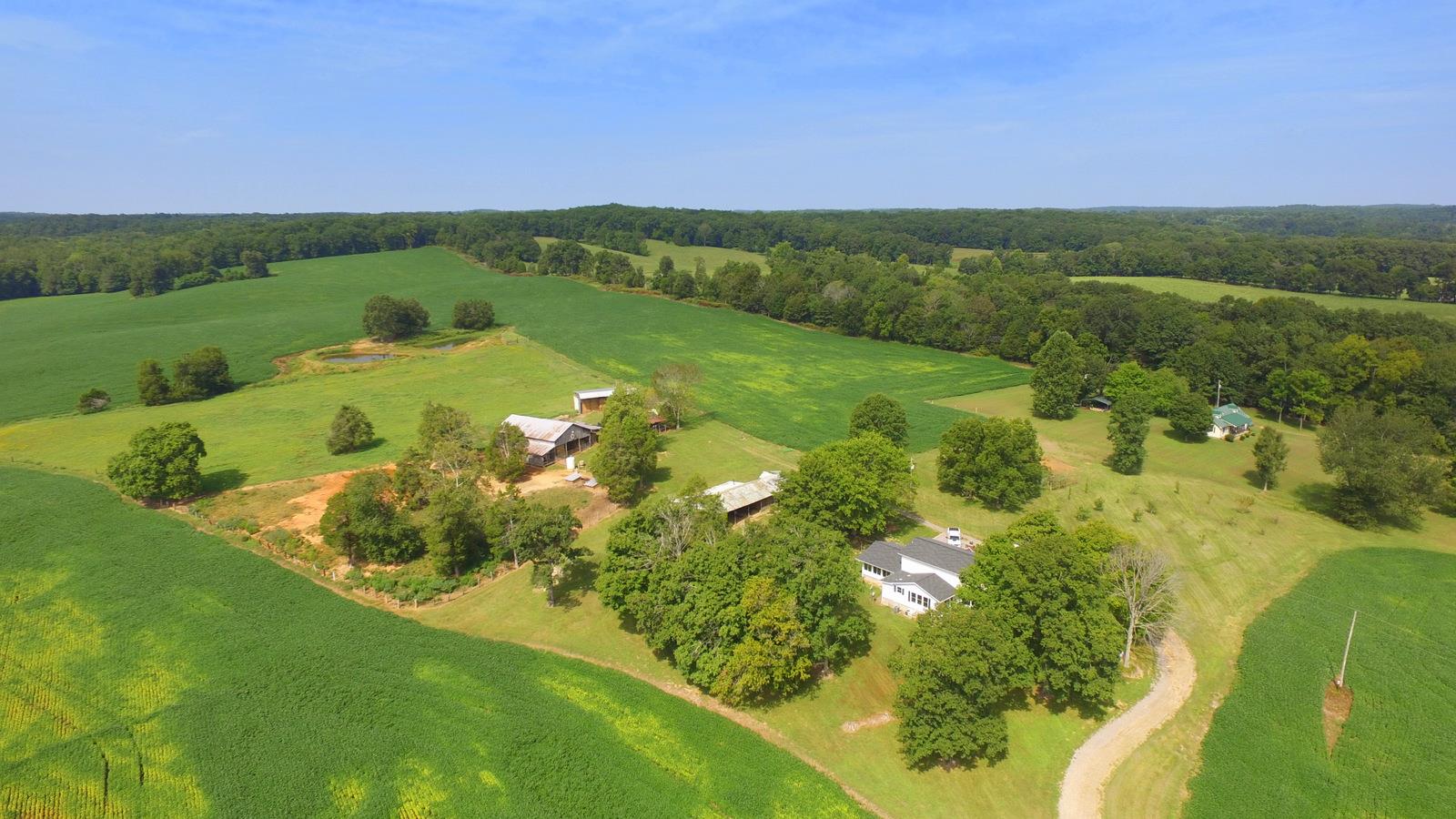3305 Yellow Creek Road Dickson, TN 37055 - Photo 1 of 30 Gallery Image 1