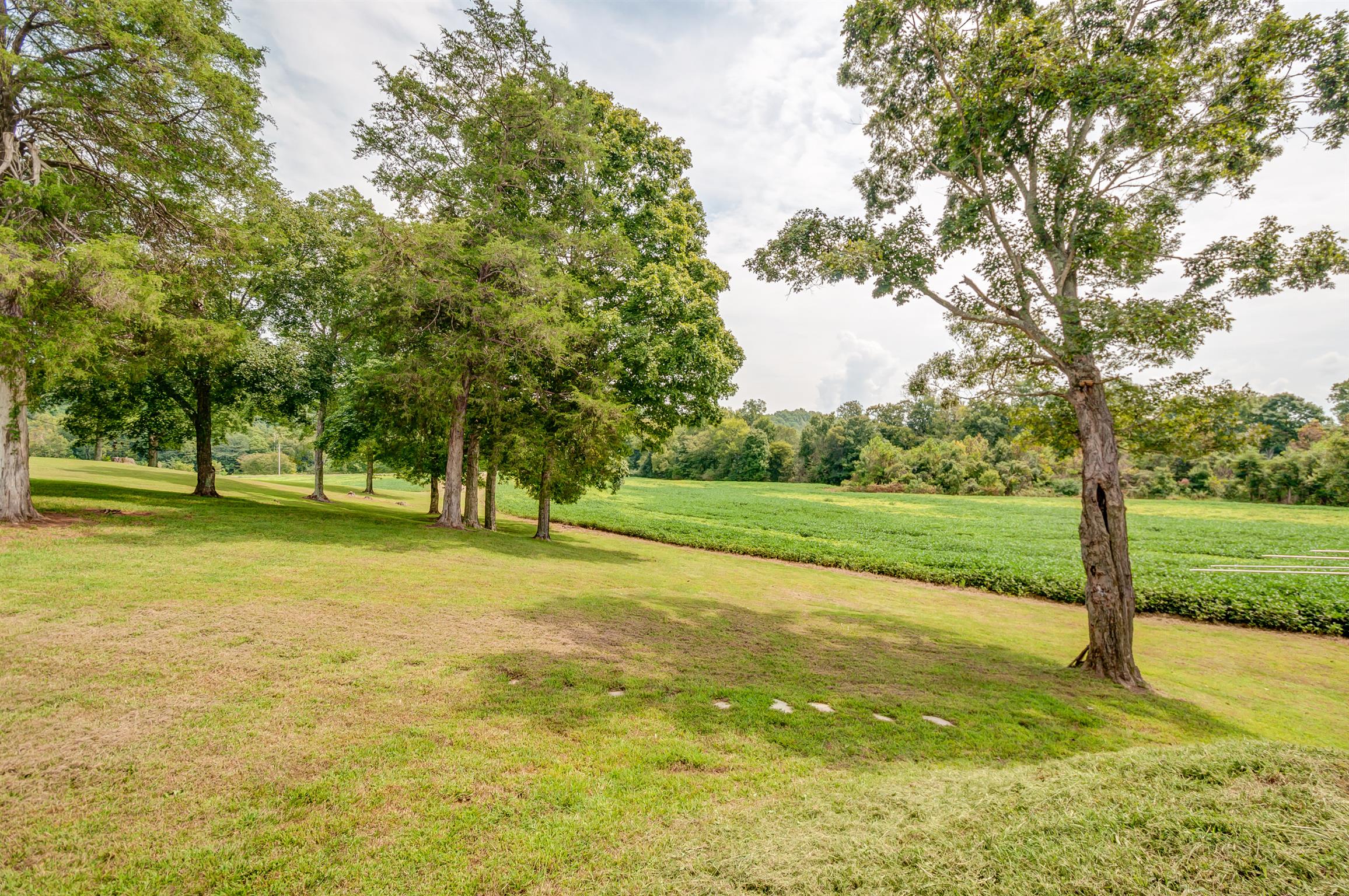3305 Yellow Creek Road Dickson, TN 37055 - Photo 29 of 30 Gallery Image 29
