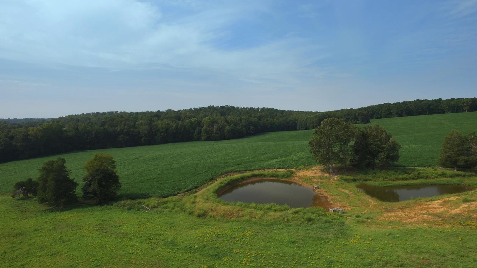 3305 Yellow Creek Road Dickson, TN 37055 - Photo 5 of 30 Gallery Image 5