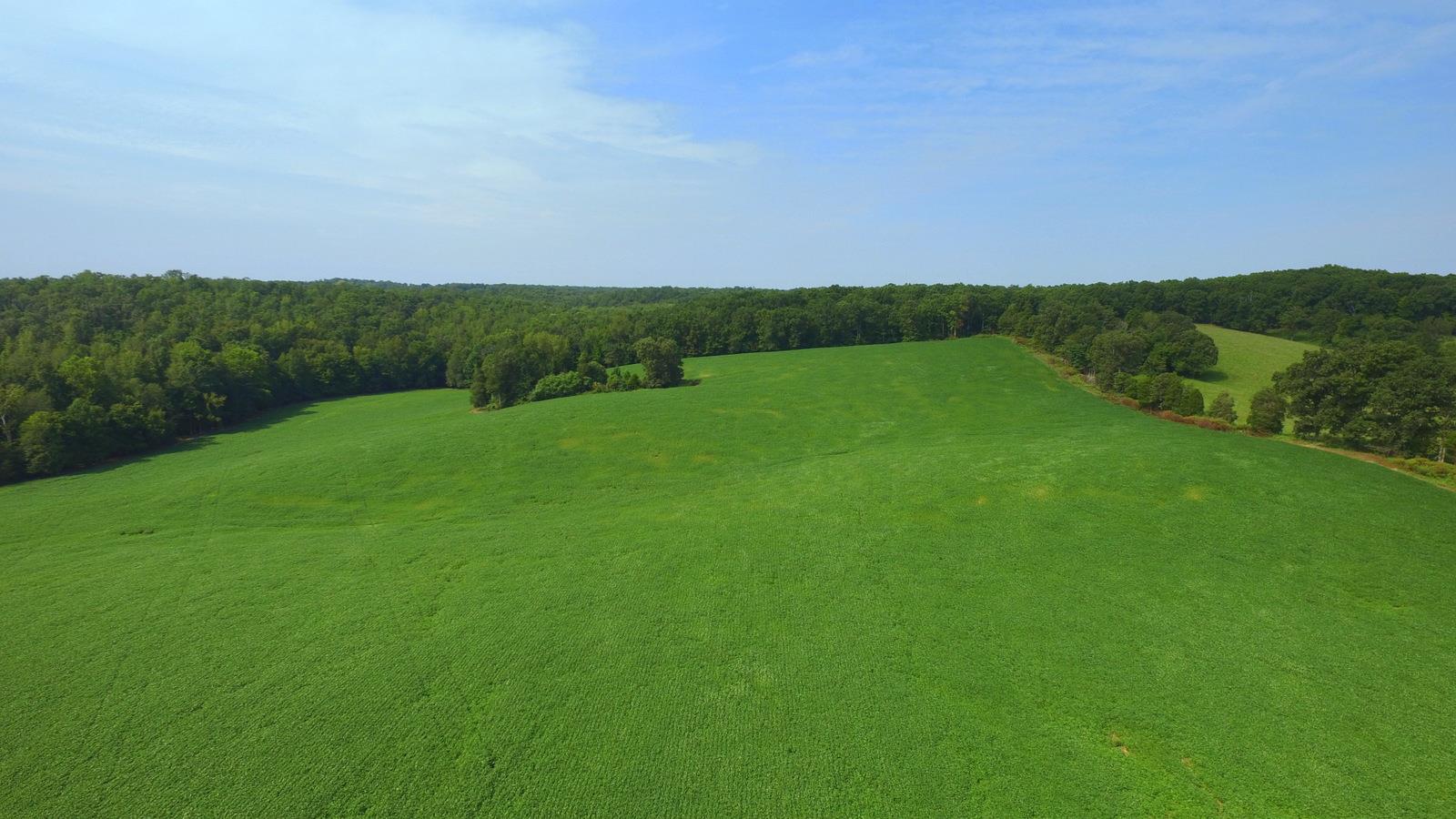3305 Yellow Creek Road Dickson, TN 37055 - Photo 6 of 30 Gallery Image 6