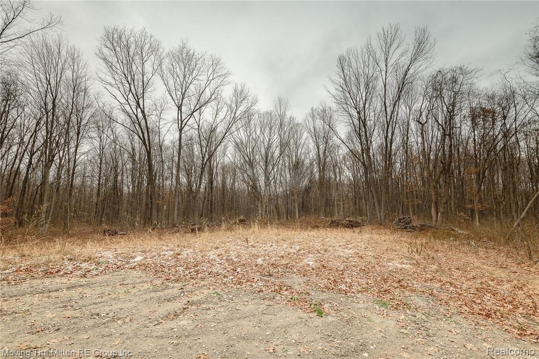 46400 Arkona Road Belleville, MI 48111 - Photo 29 of 37 MTM_46400_arkona-28.jpg