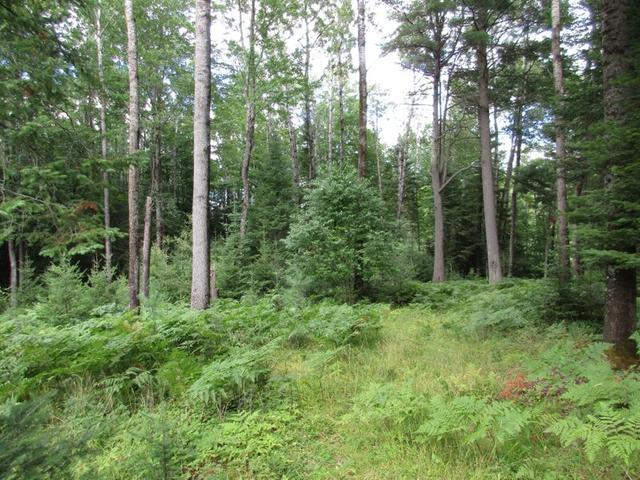 3118 North Pelican Lake Road Rhinelander, WI 54501 - Photo 9 of 11 Gallery Image 9