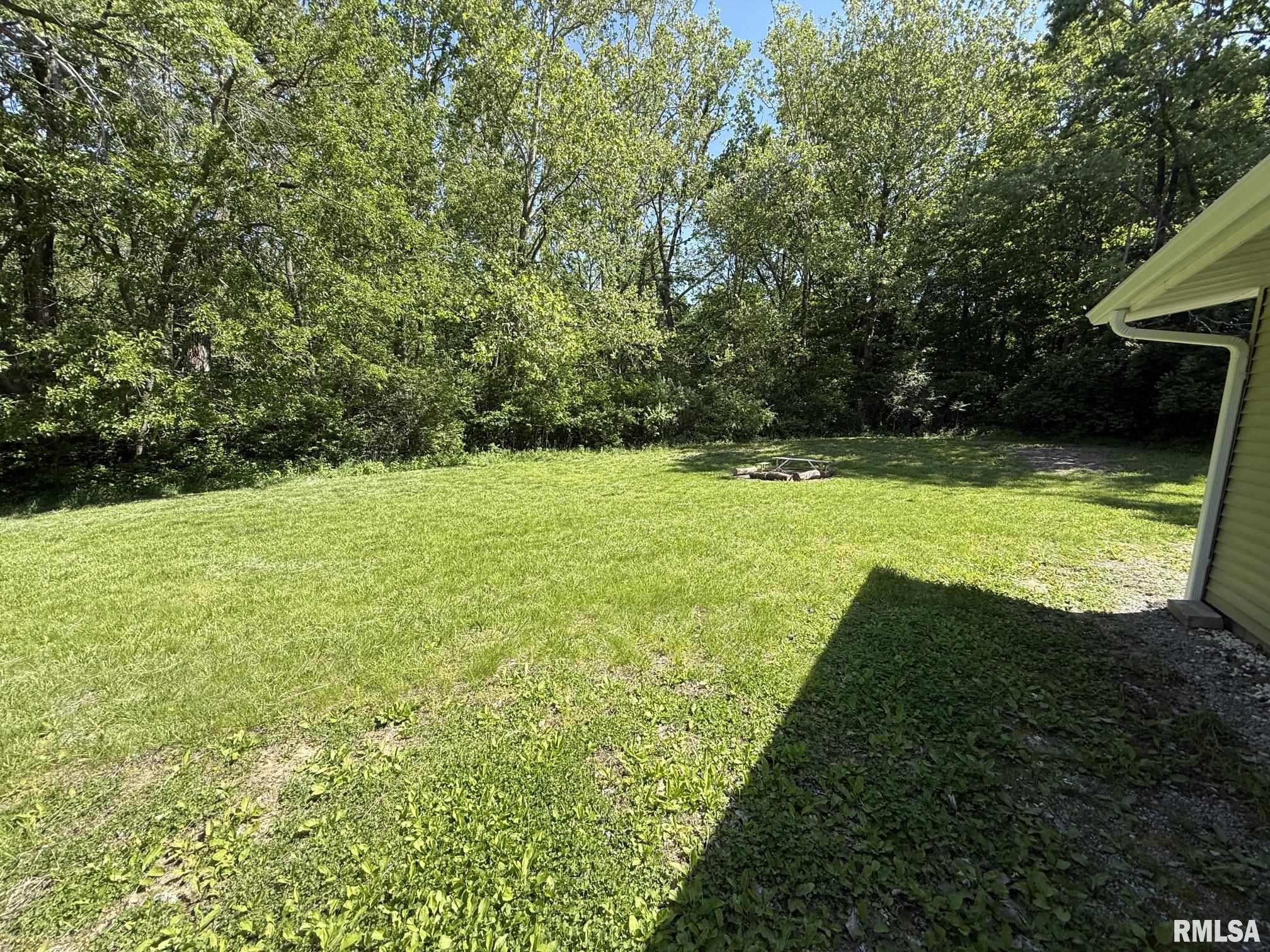 17279 River View Road Petersburg, IL 62675 - Photo 46 of 52