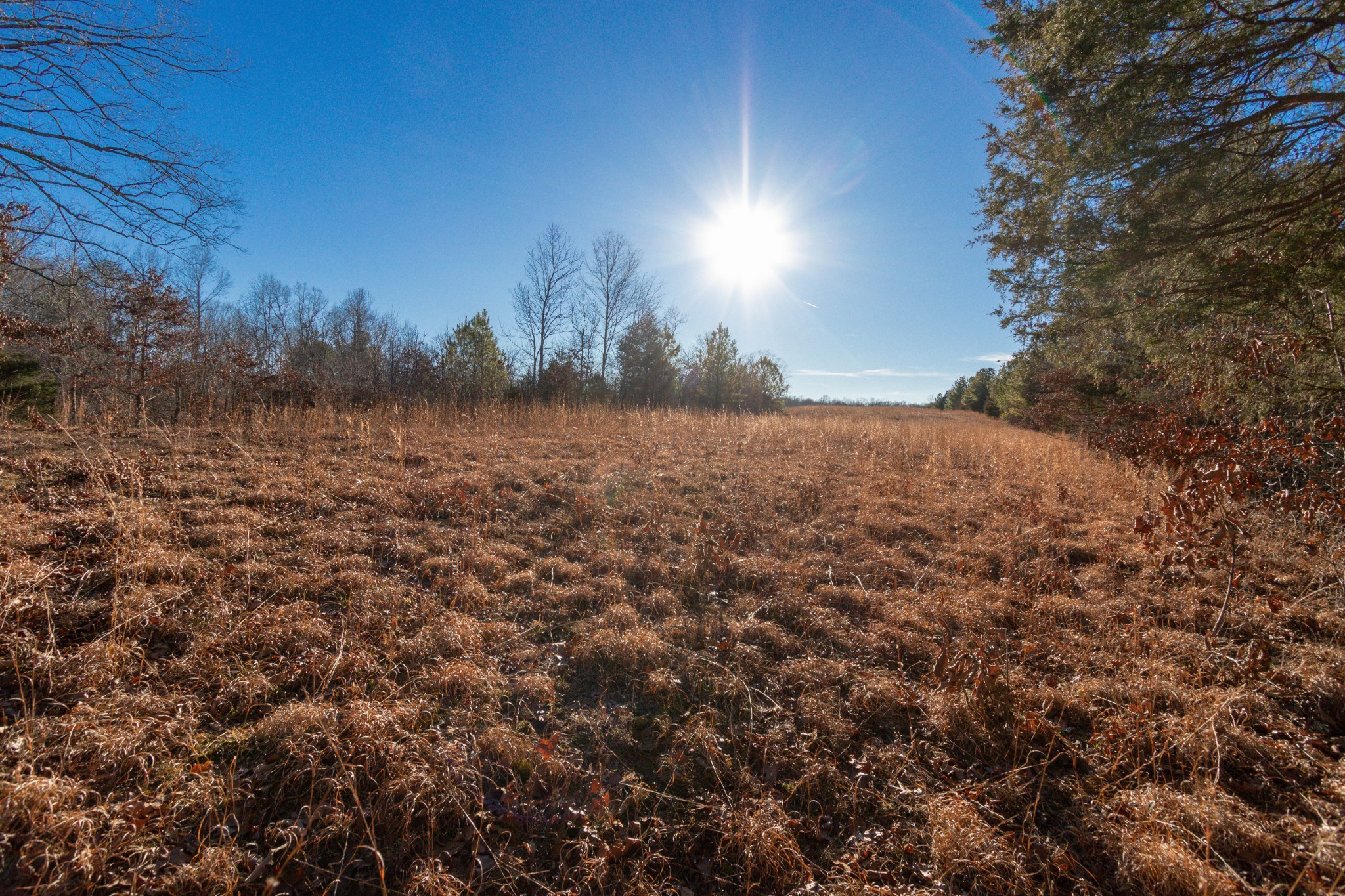 922 West Dry Hollow Road Dickson, TN 37055 - Photo 8 of 42 Gallery Image 8