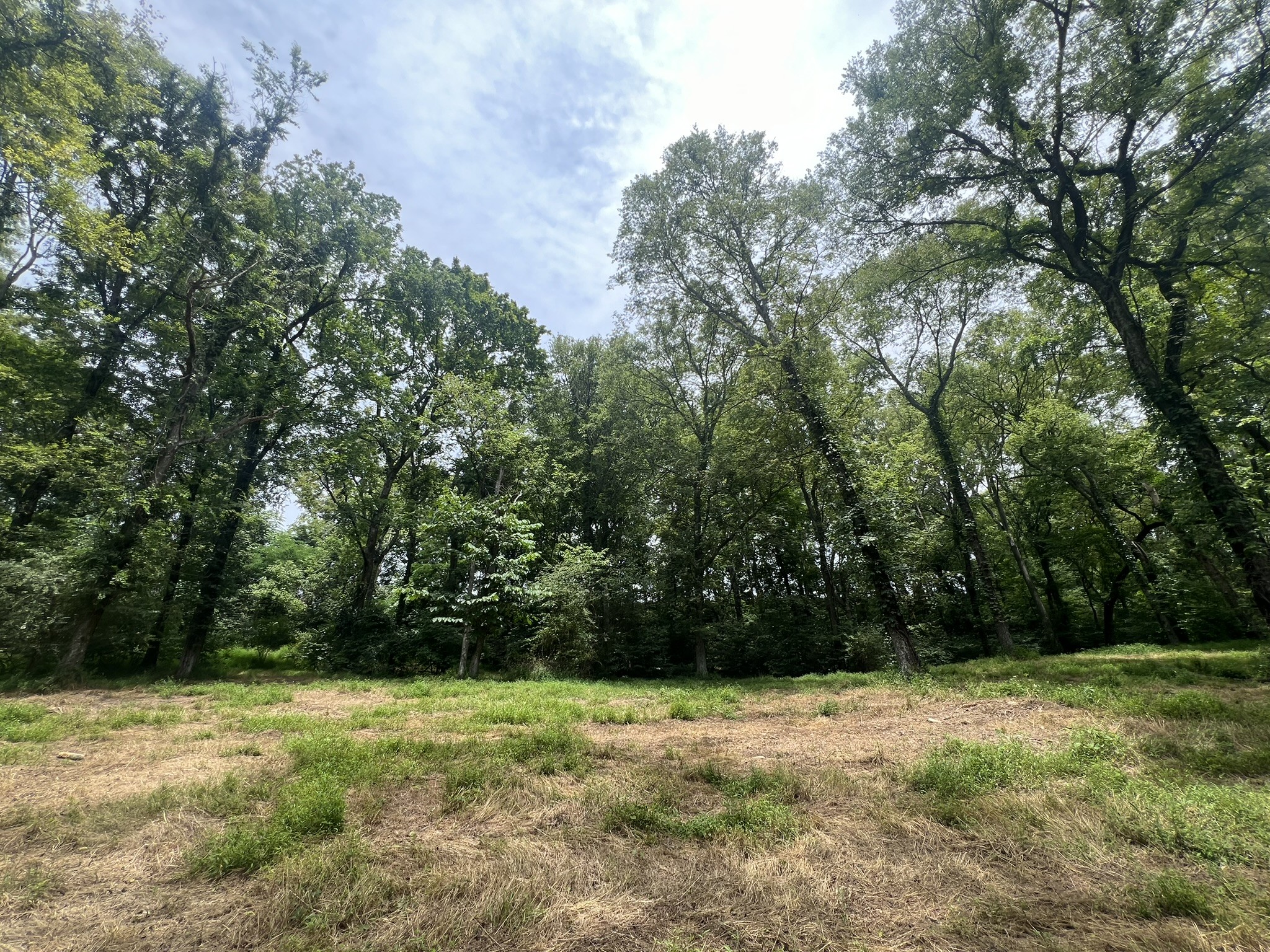 0 Tom Fitzgerald Road Columbia, TN 38401 - Photo 19 of 51 a view of backyard with green space