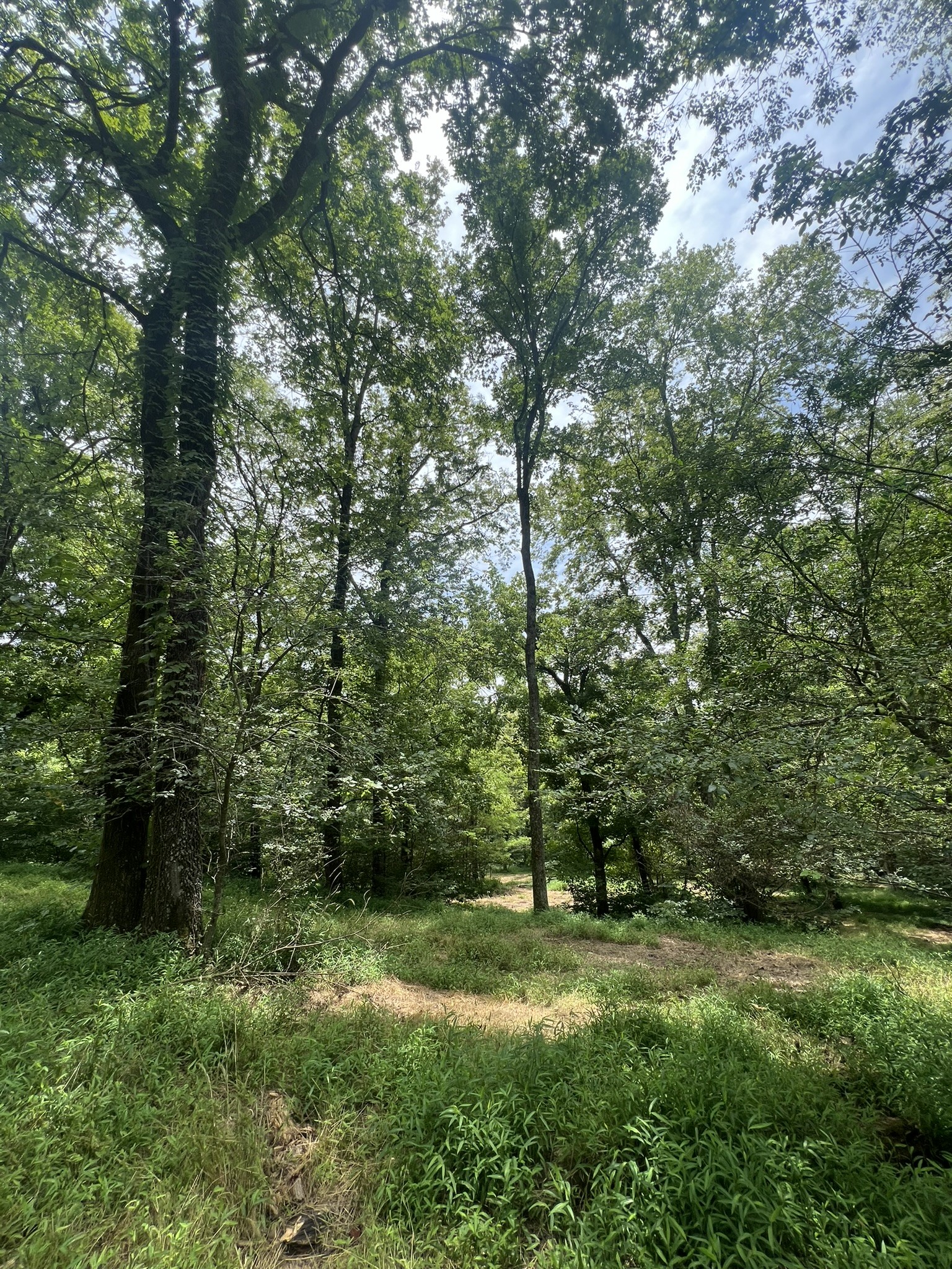 0 Tom Fitzgerald Road Columbia, TN 38401 - Photo 20 of 51 a view of outdoor space and yard