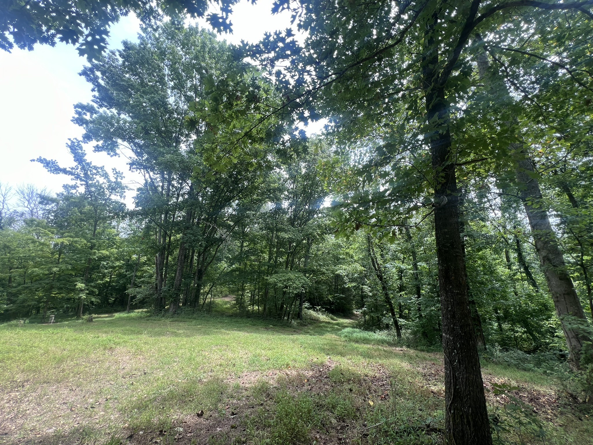 0 Tom Fitzgerald Road Columbia, TN 38401 - Photo 25 of 51 a view of outdoor space and yard