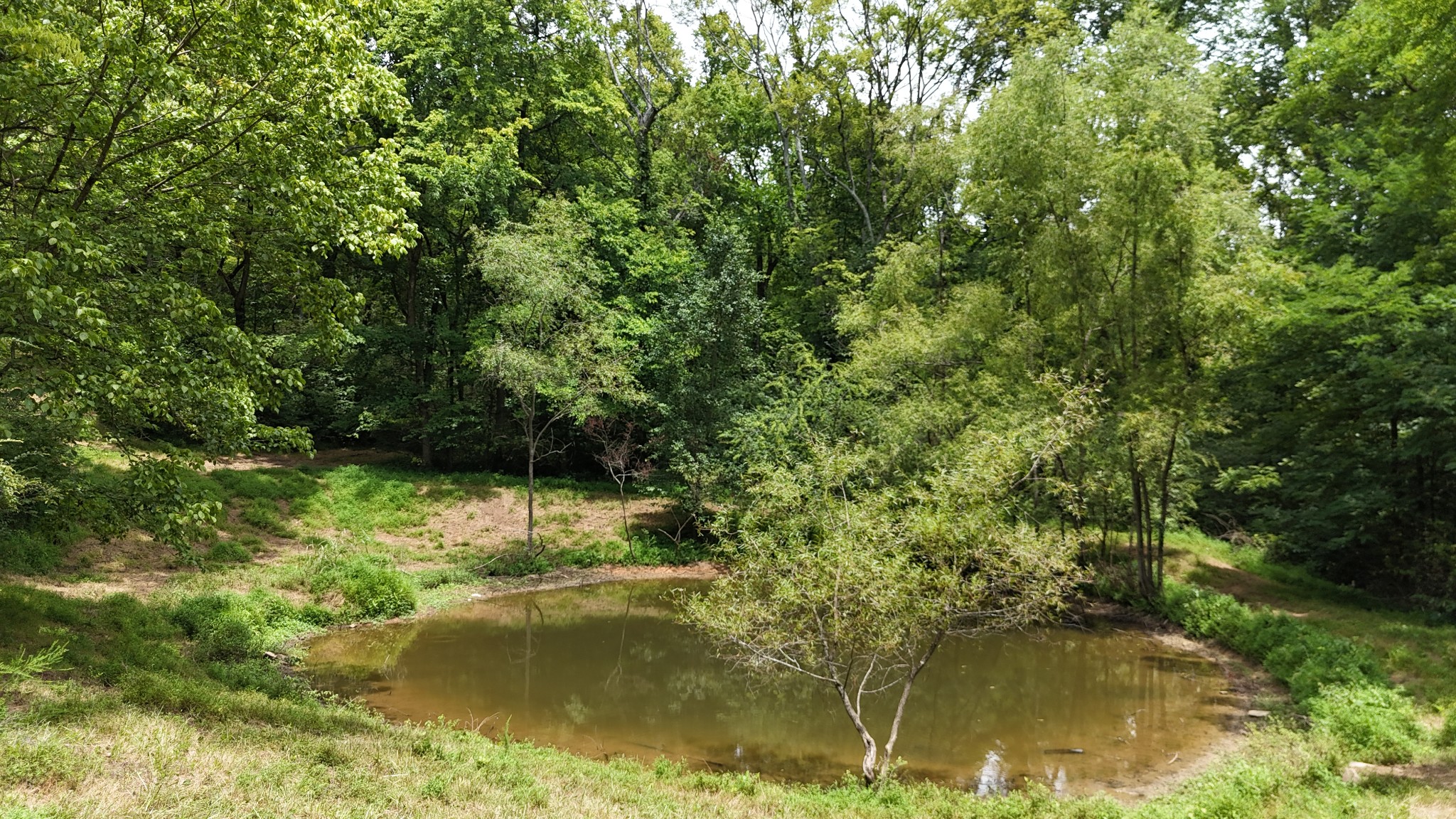 0 Tom Fitzgerald Road Columbia, TN 38401 - Photo 3 of 51 a view of a lake view