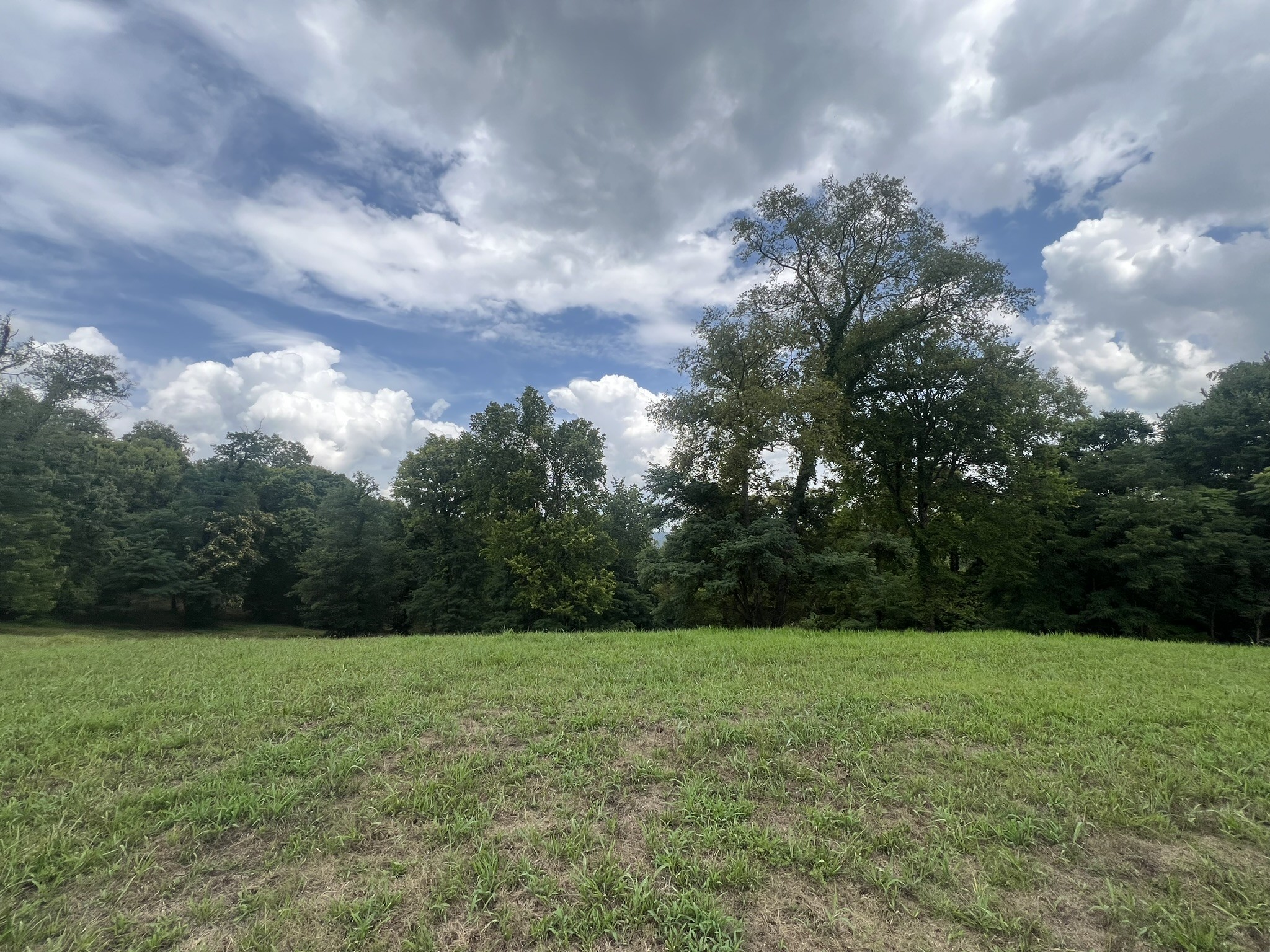 0 Tom Fitzgerald Road Columbia, TN 38401 - Photo 33 of 51 a view of a garden
