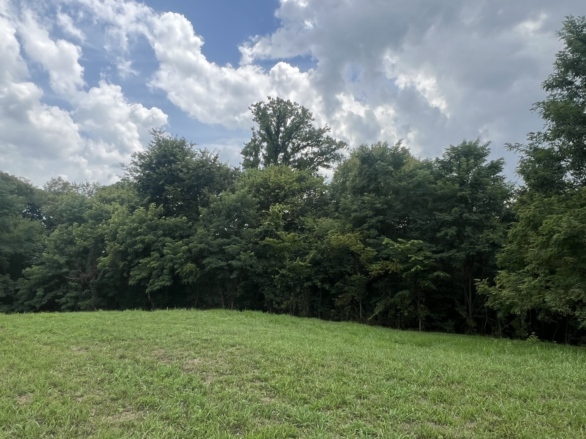 0 Tom Fitzgerald Road Columbia, TN 38401 - Photo 34 of 51 a view of outdoor space and yard