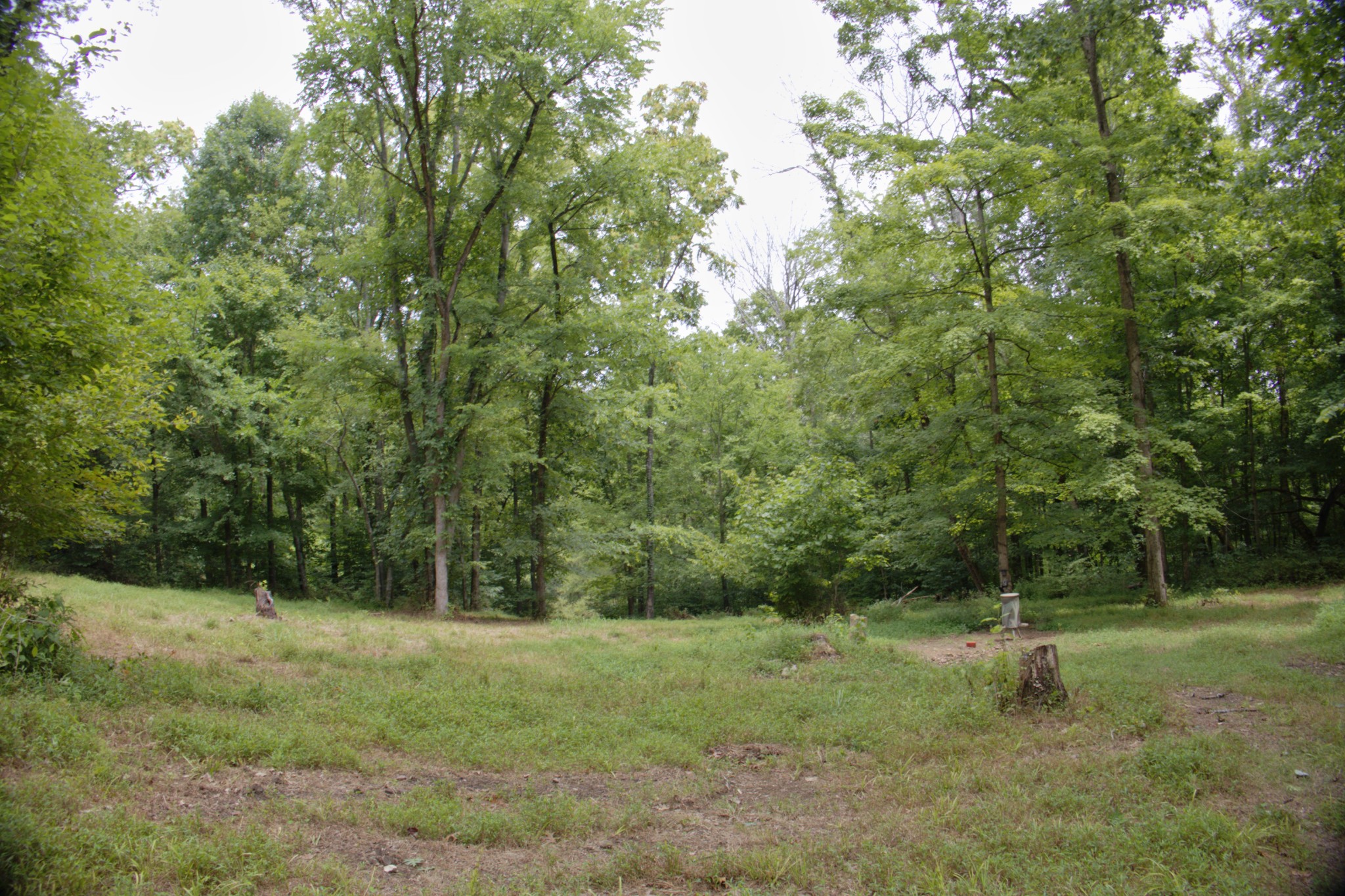 0 Tom Fitzgerald Road Columbia, TN 38401 - Photo 44 of 51 a view of outdoor space and yard