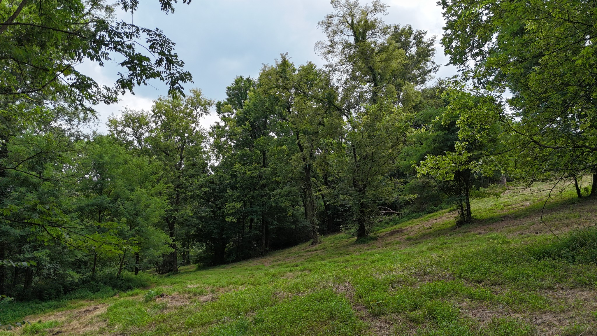 0 Tom Fitzgerald Road Columbia, TN 38401 - Photo 48 of 51 a view of an outdoor space and a yard