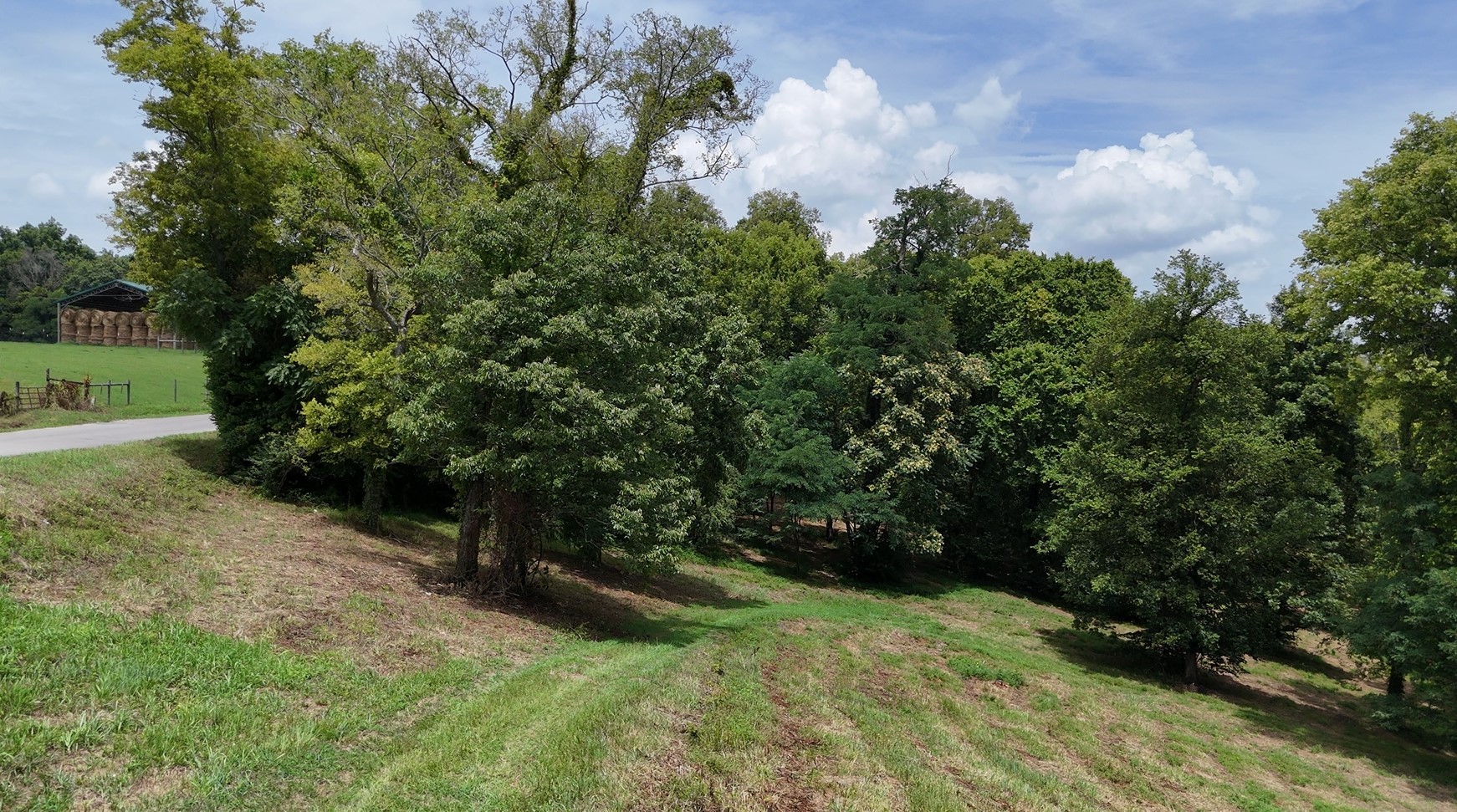 0 Tom Fitzgerald Road Columbia, TN 38401 - Photo 50 of 51 a view of a yard with plants and a trees