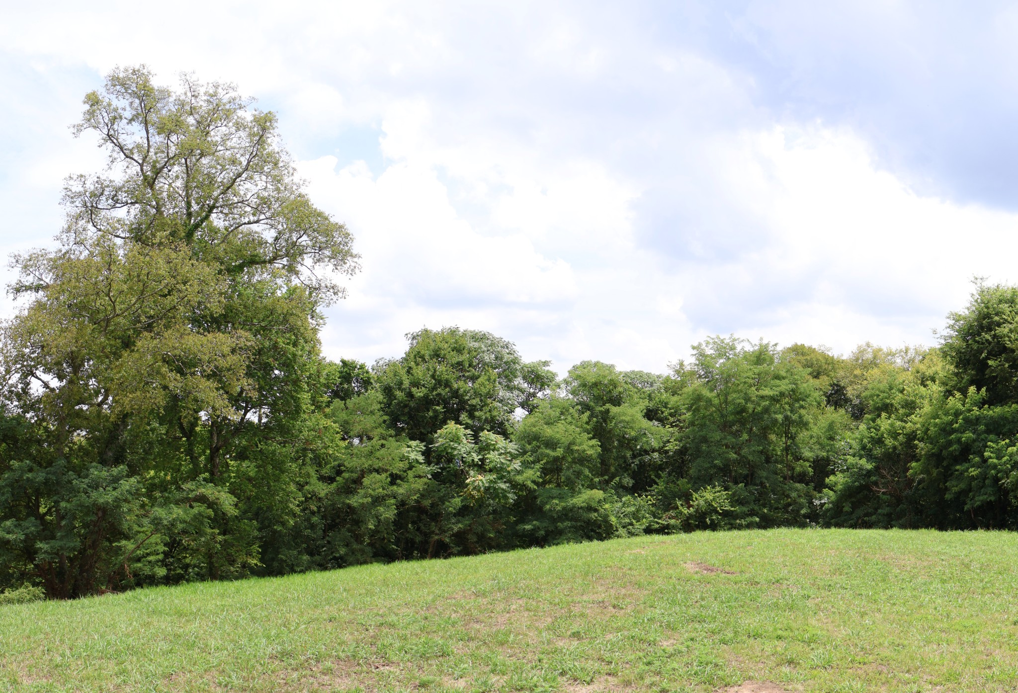 0 Tom Fitzgerald Road Columbia, TN 38401 - Photo 5 of 51 a view of green field with trees in the background