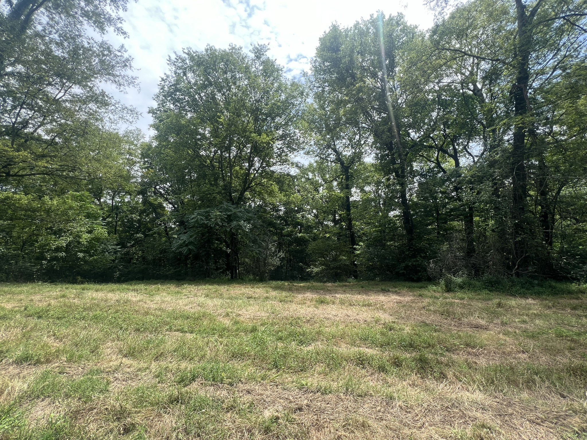 0 Tom Fitzgerald Road Columbia, TN 38401 - Photo 8 of 51