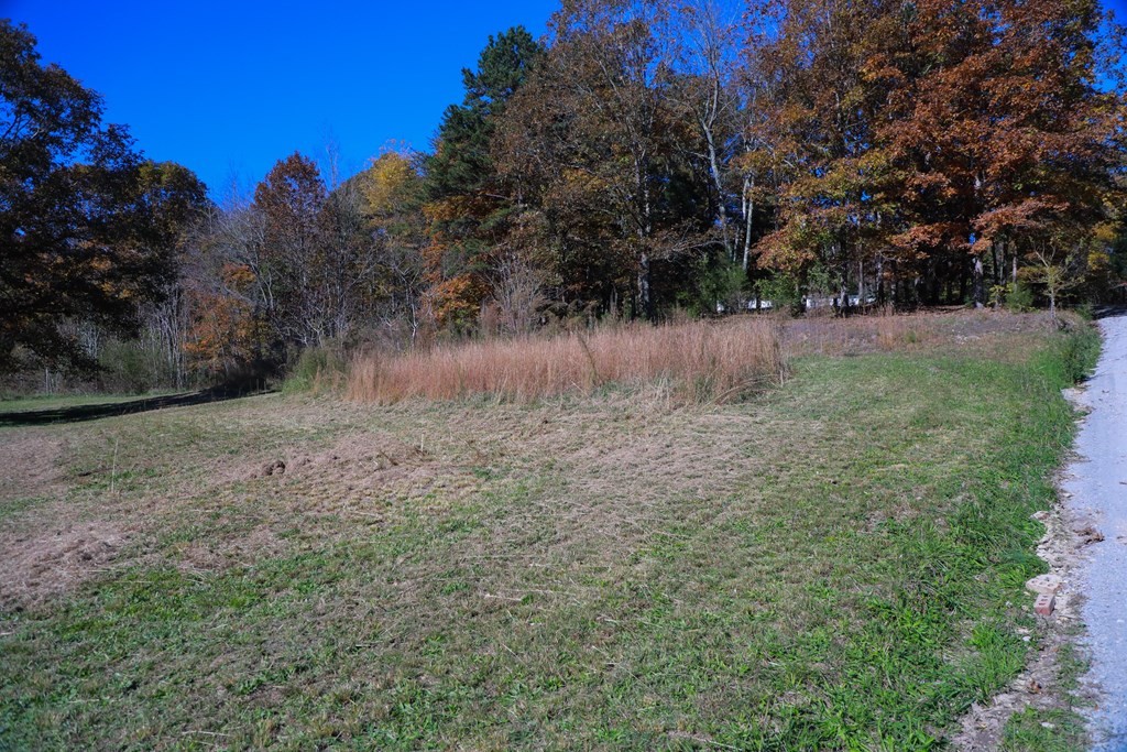 300 Sunshine Lane Decatur, TN 37322 - Photo 8 of 33 Gallery Image 8