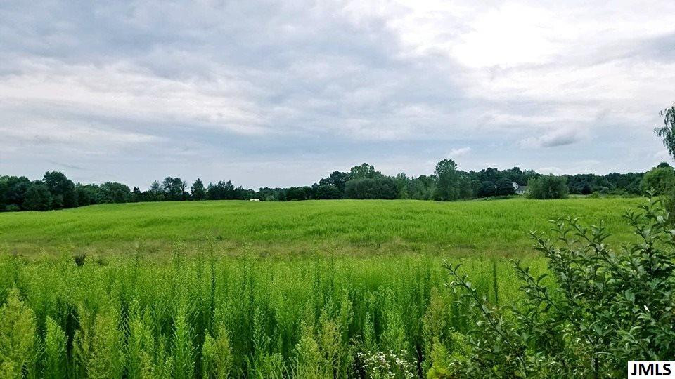0 Orban Road Grass Lake, MI 49240 - Photo 1 of 4 Photo 1