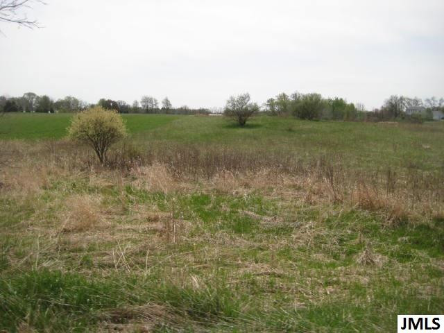 0 Orban Road Grass Lake, MI 49240 - Photo 3 of 4 Photo 3