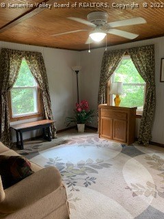 213 Davidson Ridge Road Palestine, WV 26160 - Photo 31 of 44 Gallery Image 31