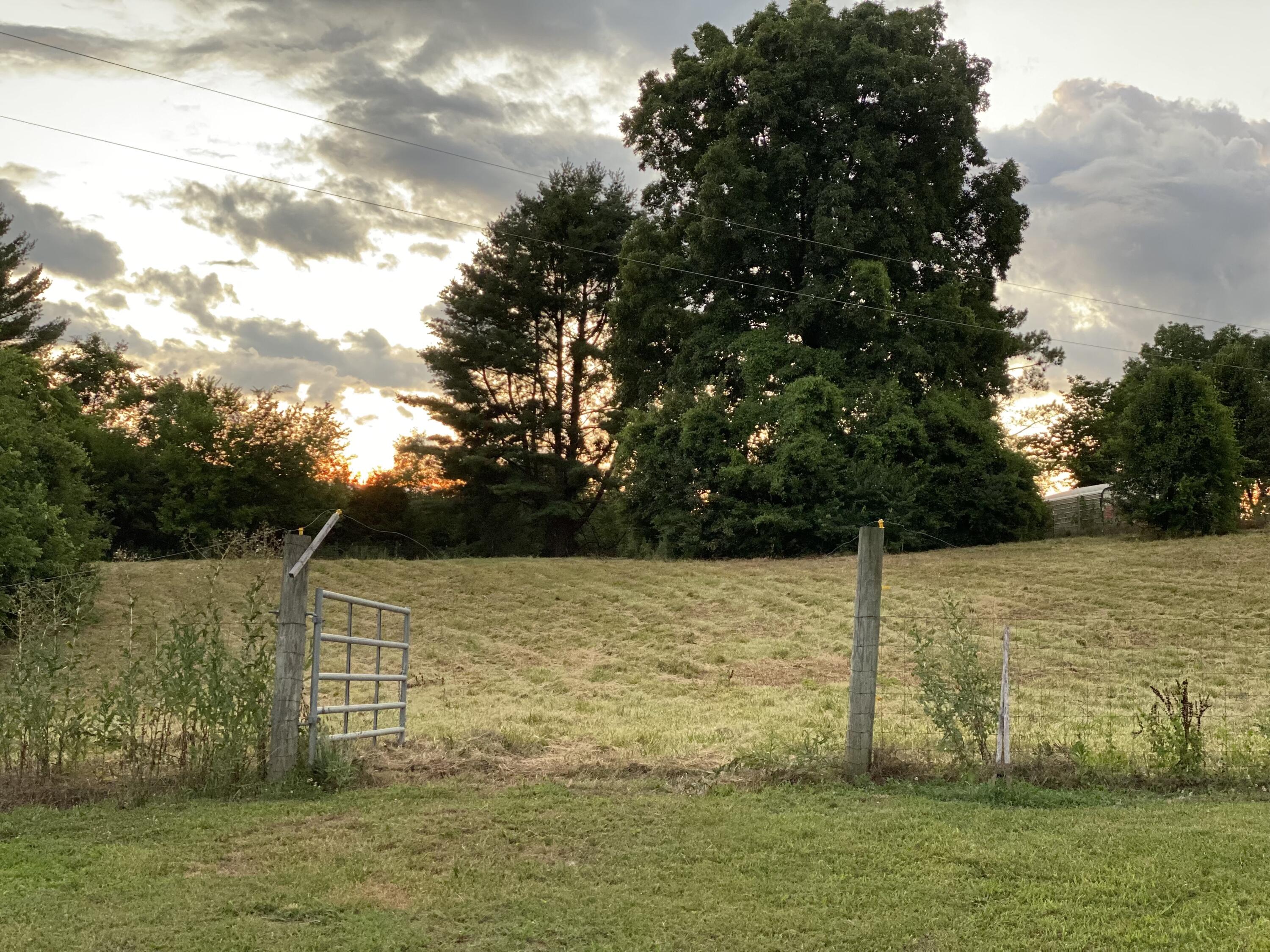 727 Dempsey Road Whitwell, TN 37397 - Photo 2 of 10 2.5+ acres!