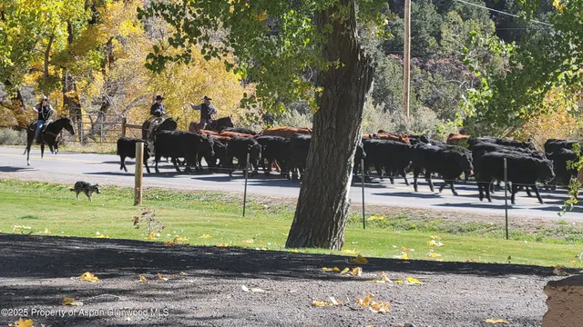 $1,395,000 | 3211 County Road 237, Rifle, CO 81650