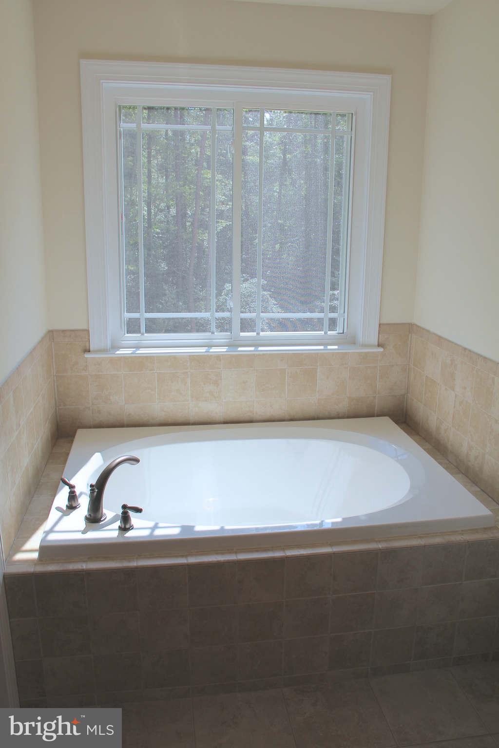45450 Ruefly Way California, MD 20619 - Photo 22 of 30 Bath (Master)