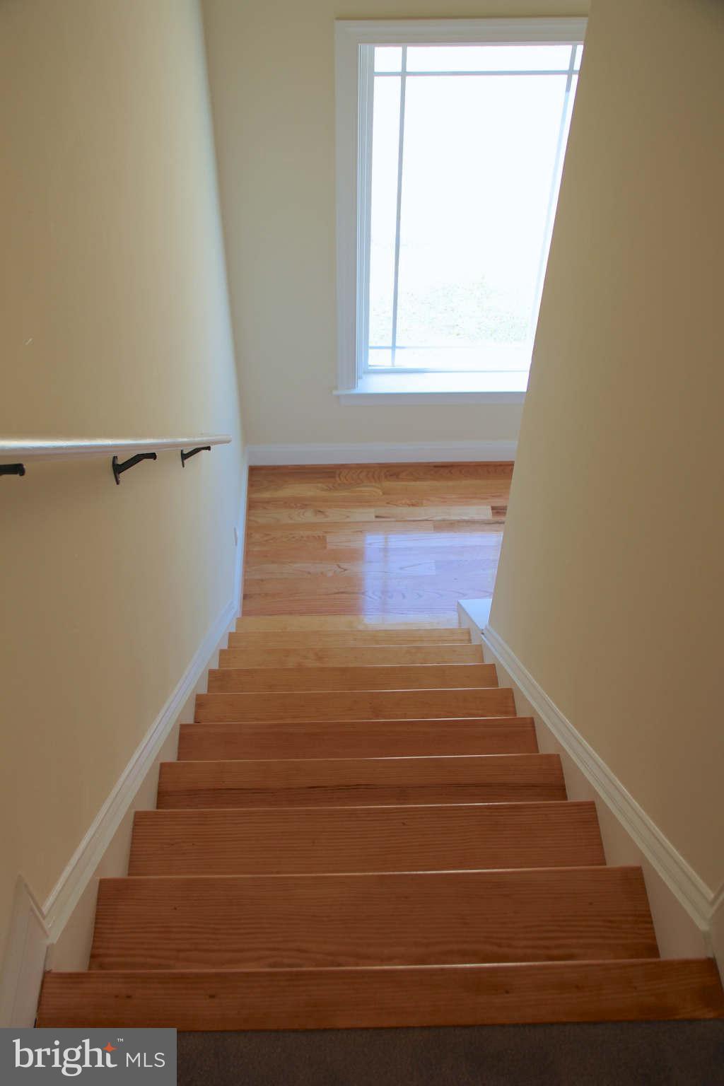 45450 Ruefly Way California, MD 20619 - Photo 23 of 30 Exterior (General)