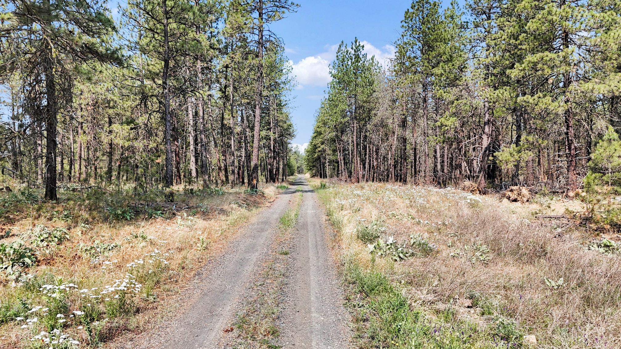 16621 South Sherman Road Cheney, WA 99004 - Photo 26 of 39