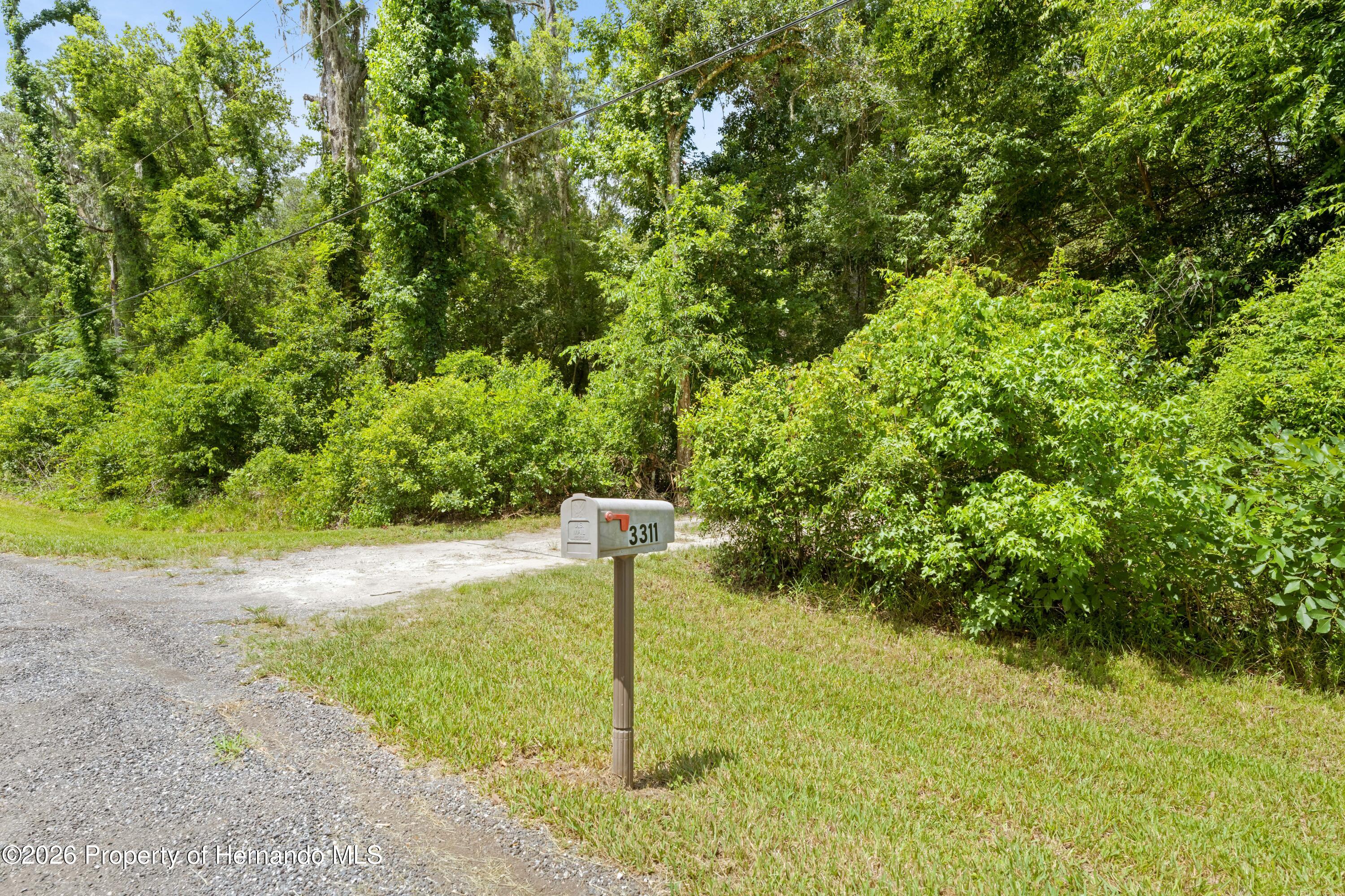 3311 Baseball Pond Road Brooksville, FL 34602 - Photo 17 of 18 a view of a yard with an tree