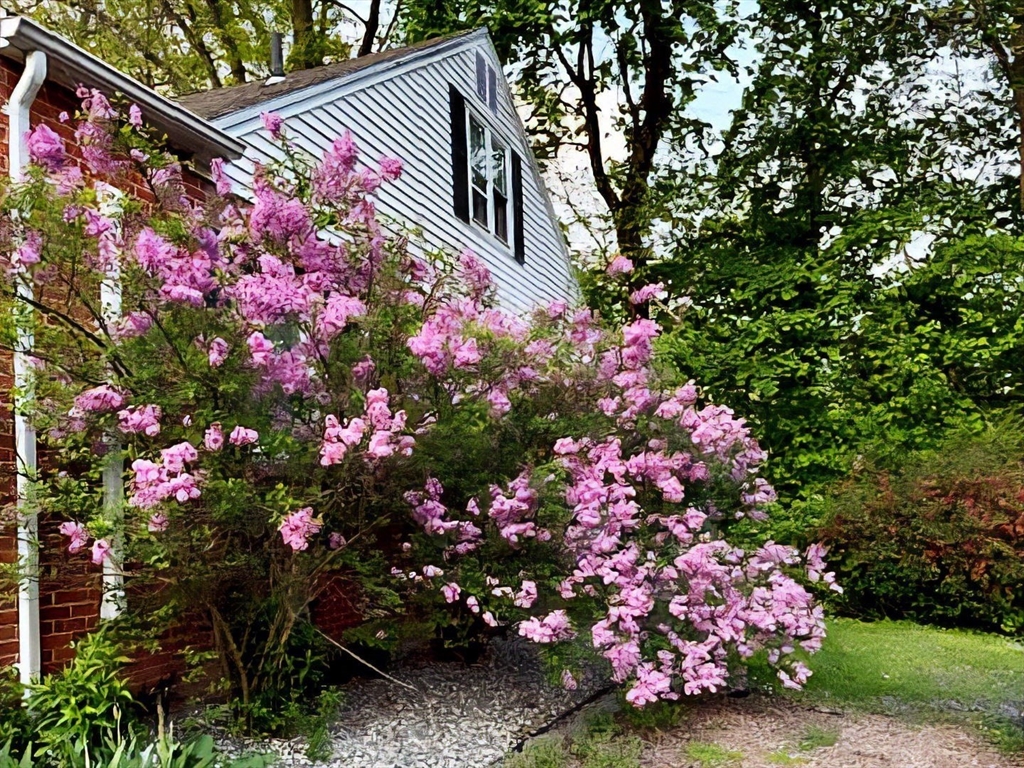 51 Candice Circle Springfield, MA 01107 - Photo 32 of 41