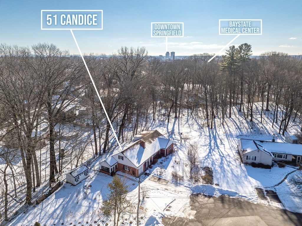 51 Candice Circle Springfield, MA 01107 - Photo 36 of 41