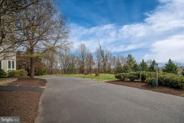 a view of road with large trees