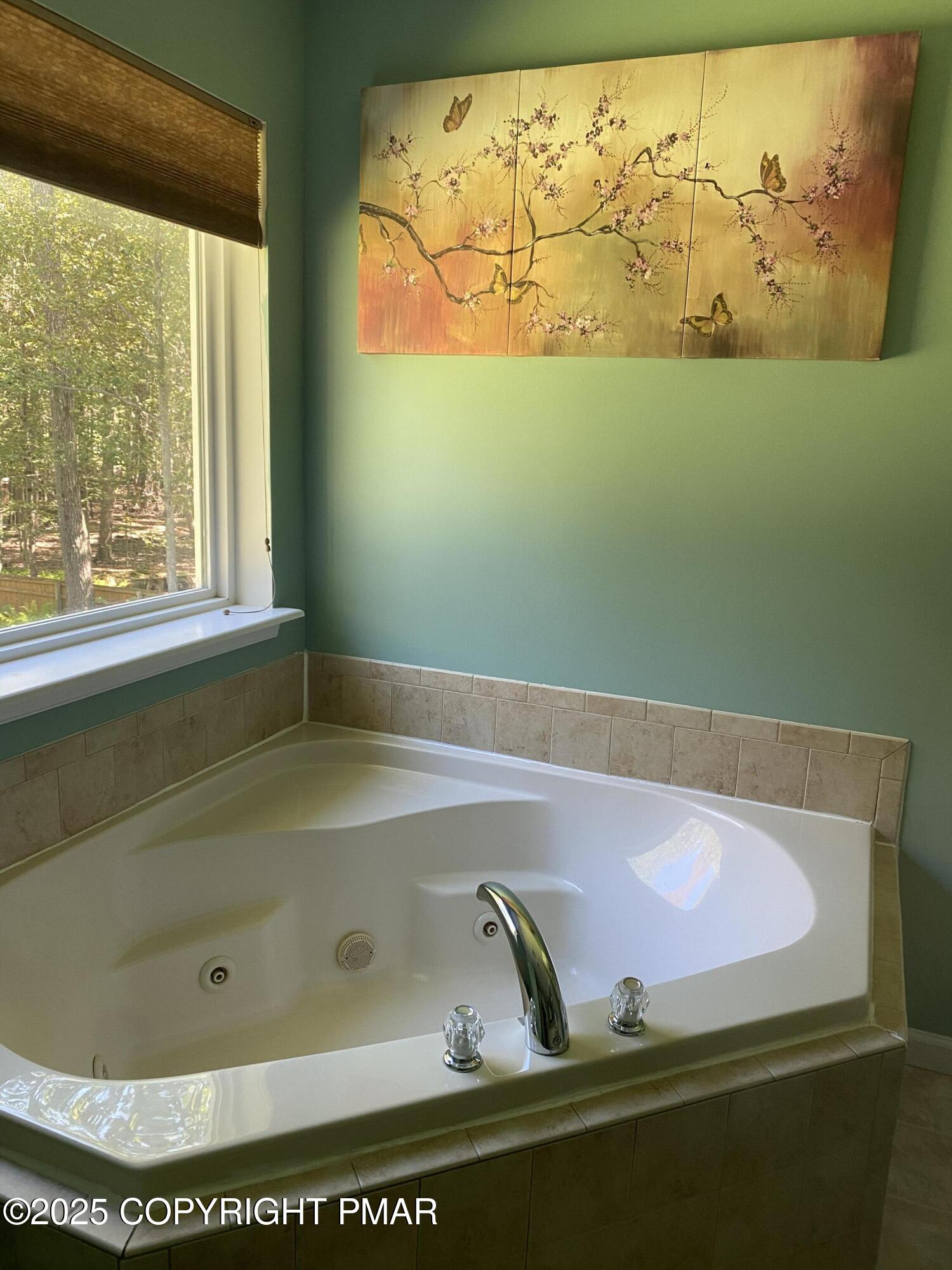 3222 Beech Ridge Drive Pocono Summit, PA 18346 - Photo 26 of 31 IMG_5727