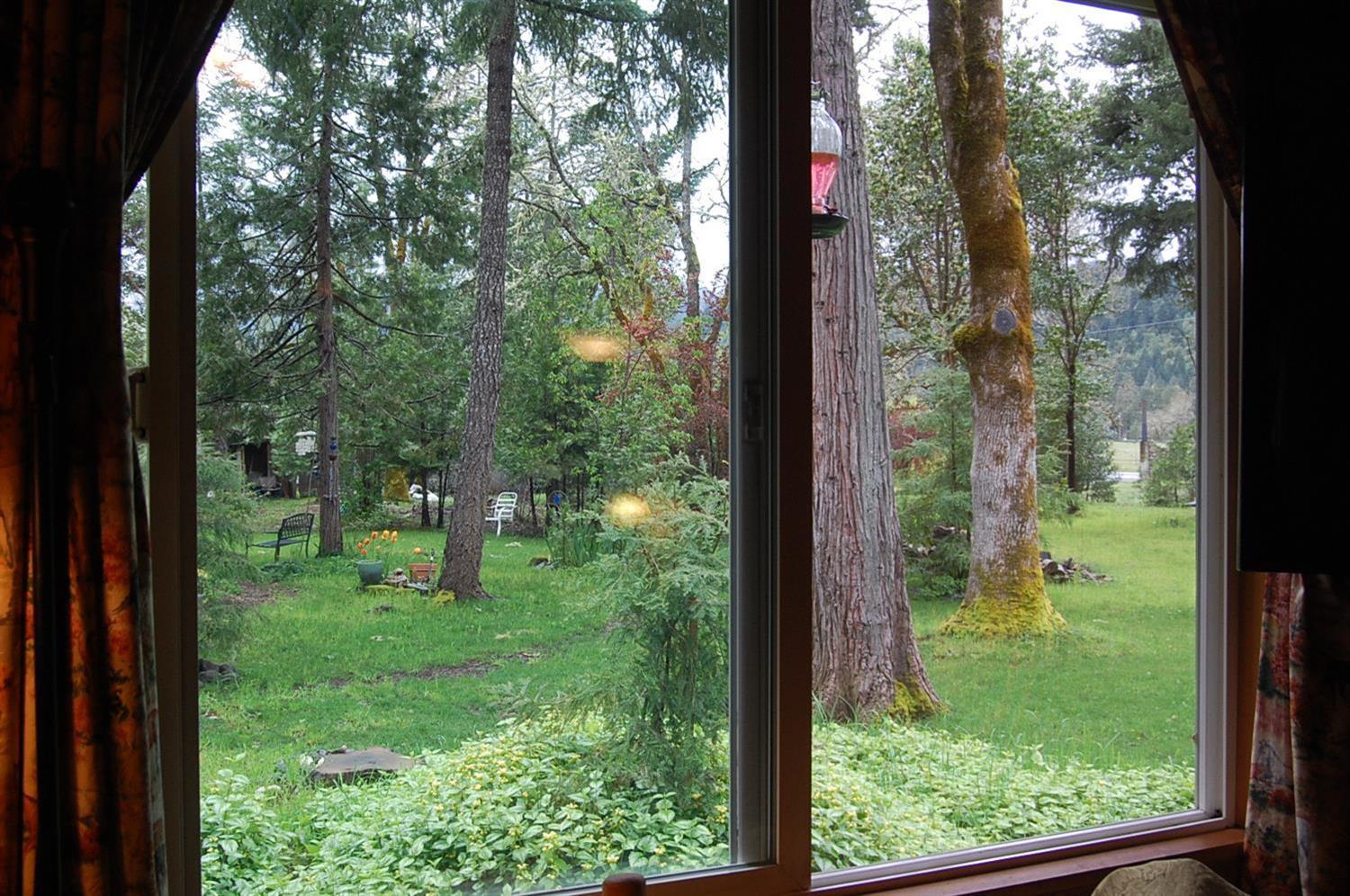 310 Page Creek Road Cave Junction, OR 97523 - Photo 13 of 31 View of outside